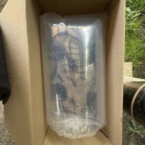 Babylon Fish Farm - Boxed Coarse Fish in Eastbourne, East Sussex