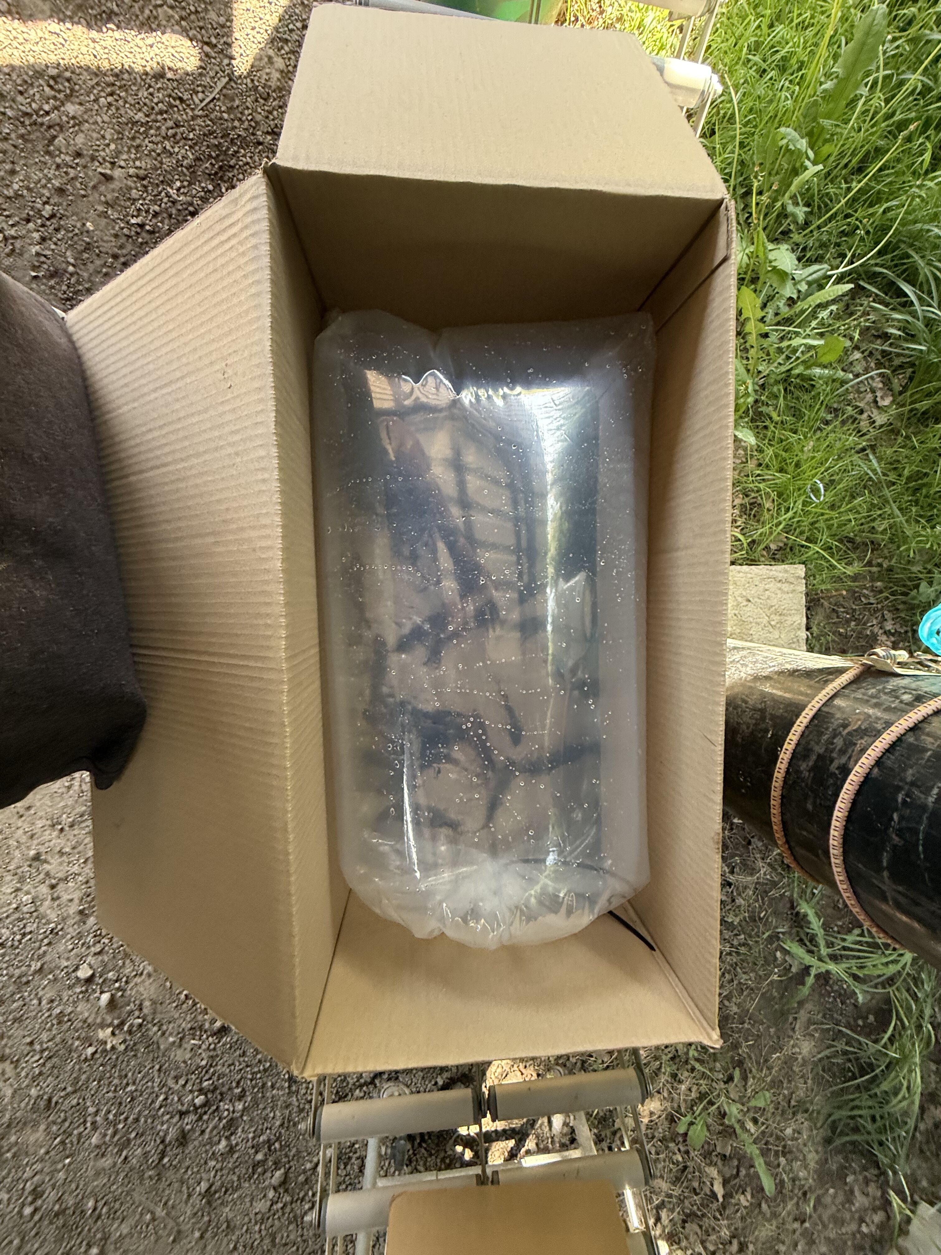 Boxed coarse fish prepared for safe delivery