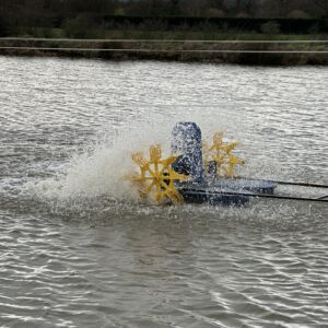 Babylon Fish Farm - Pond Aeration in Gloucester, Somerset