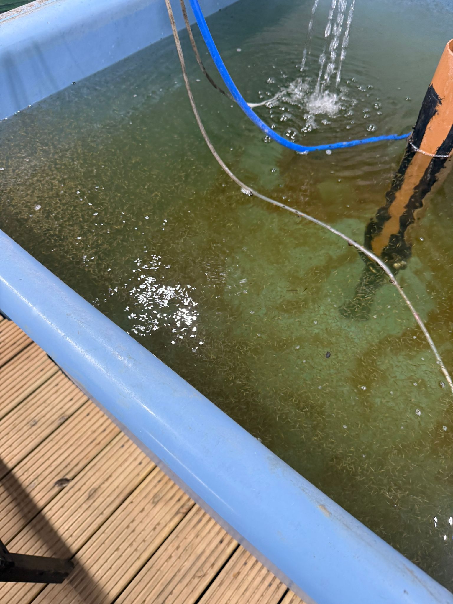 Our state of the art hatchery equipment